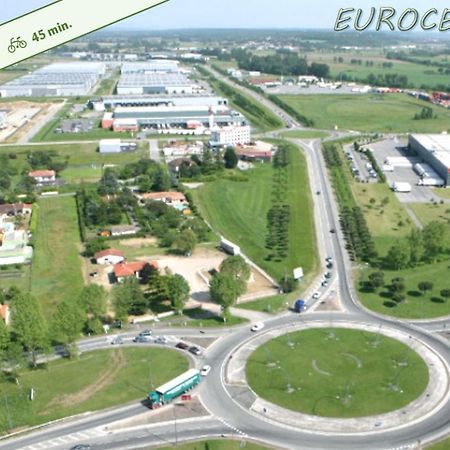 Le Cosy Eurocentre ► Terrasse ► Parking ► Wifi ► 24/24 Leilighet Castelnau-dʼEstrétefonds Eksteriør bilde