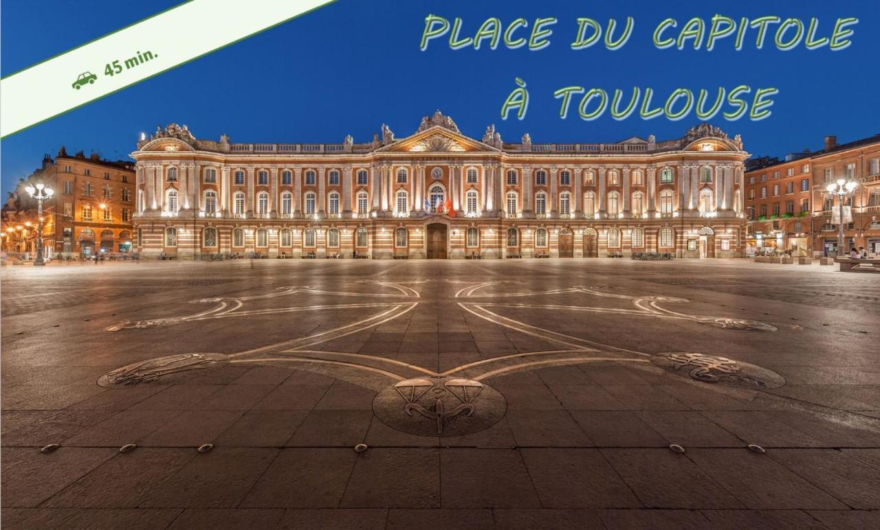 Le Cosy Eurocentre ► Terrasse ► Parking ► Wifi ► 24/24 Leilighet Castelnau-dʼEstrétefonds Eksteriør bilde